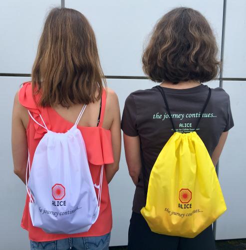 bags