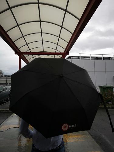 Umbrella